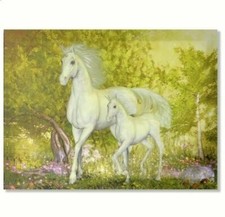 Cadre toile tableau Licorne dans forêt - 40 x 30 cm - animal animaux