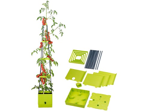 Pot avec tuteur - pour, plant