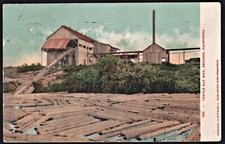 Vintage Postcard  Turtle Bay