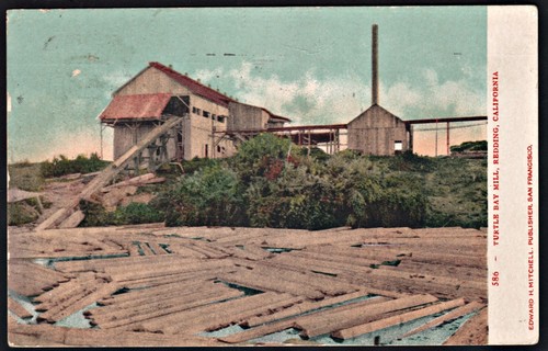 Vintage postcard turtle bay - postcard,