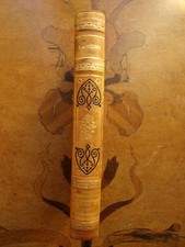 9838 Musset  Confession d'un