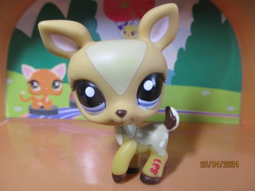 Petshop biche 1123 - petshop,