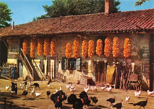 71-FERME