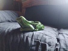 L'héritier GUYOT DIJON Grenouille en céramique " cendrier ancien" Authentique