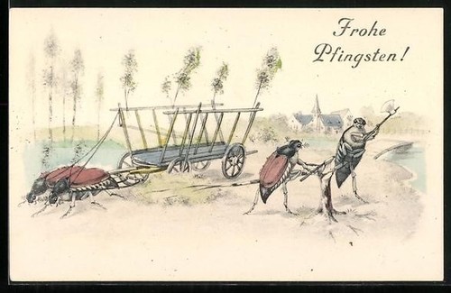 Attelage coccinelle en - de,