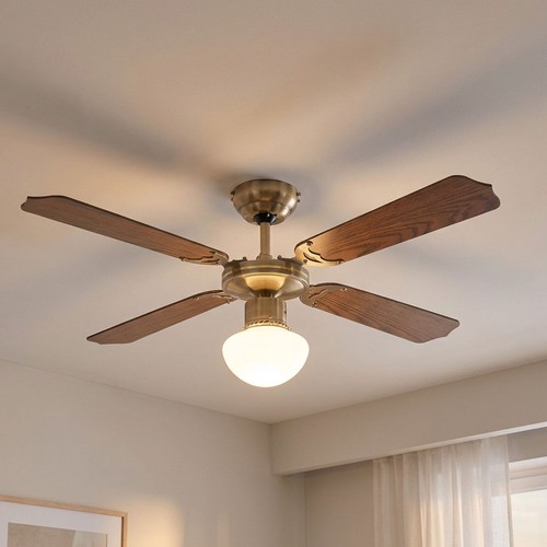 Ventilateur plafond - ventilateur, de