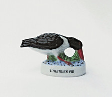 cyb - Fève oiseau l'huitrier