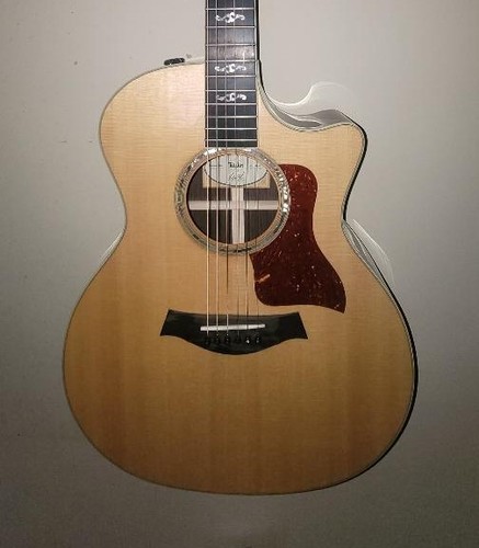 Taylor special edition guitar