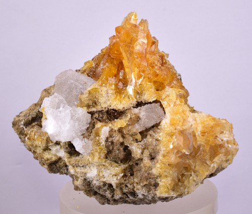 5cms golden selenite halite - golden,