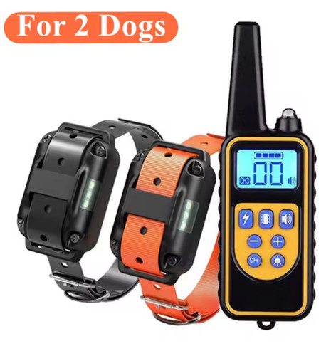 Collier dressage chien - dressage, anti