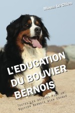 L'EDUCATION DU BOUVIER BERNOIS: Toutes les astuces pour un Bouvier Bernois 