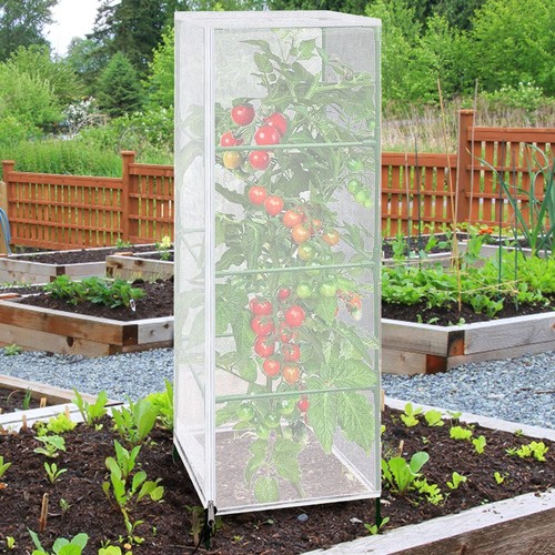 Pour cage tomate filet - pour, oiseau