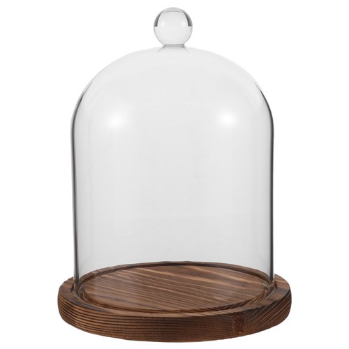 Cloche verre pour les - en,