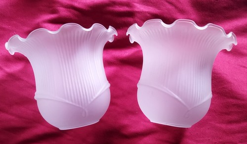Deux tulipes verre xx - deux, en
