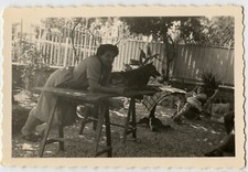 Portrait femme appuyée table traiteaux jardin chien - Photo ancienne - an. 1950