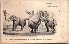 THEMES CIRQUE - elephants du barnum bailey