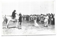 Carte photo gardian - 13,