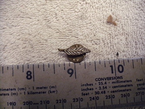 Gold tone feather - pin, inch