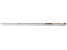 Daiwa Luvias 802XHFS-AD Canne