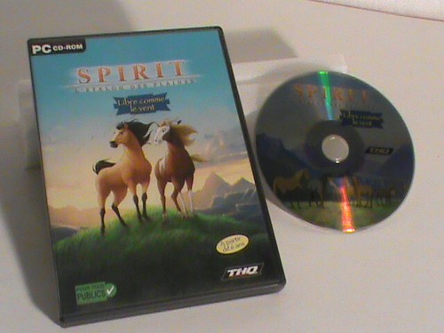 Jeux rom issue du - pc,