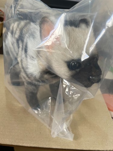 Poupée peluche réaliste - poupée,
