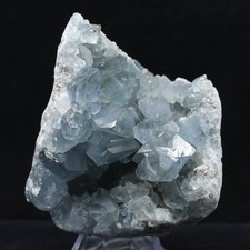 Grande Druse de Célestine de