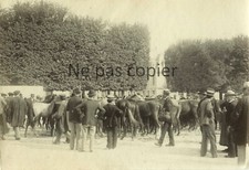 UNE FOIRE vers 1900 chevaux