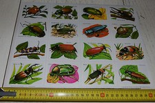 RARE PLANCHE N°9 32 X 23 CHROMOS ECOLE VOLUMETRIX 1955 INSECTES