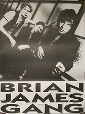 "BRIAN JAMES GANG (NEW ROSE)"