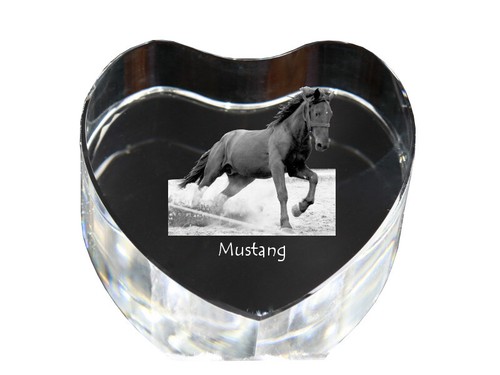Mustang photo cheval en - -,