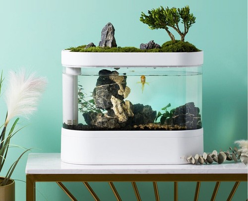 Aquarium nano cube - cube, small