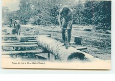 Sciage des bois à ORNO (Côte