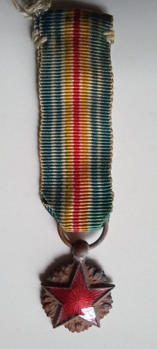 Medaille des blesses - medaille,