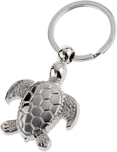 Tortue créative - tortue,