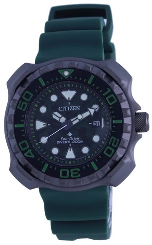 Citizen promaster sangle - promaster,