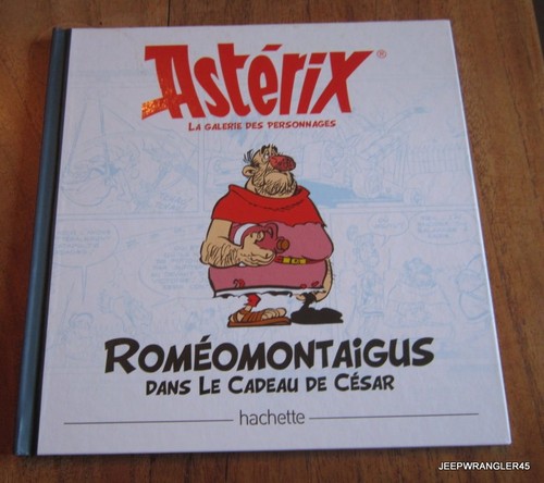 Hachette asterix galerie - asterix,