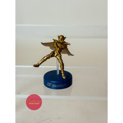 Saint seiya aquarius mini - seiya,