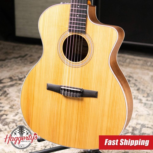 Taylor 214ce nylon grand - 214ce-n,