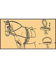 Rênes d'entraînement