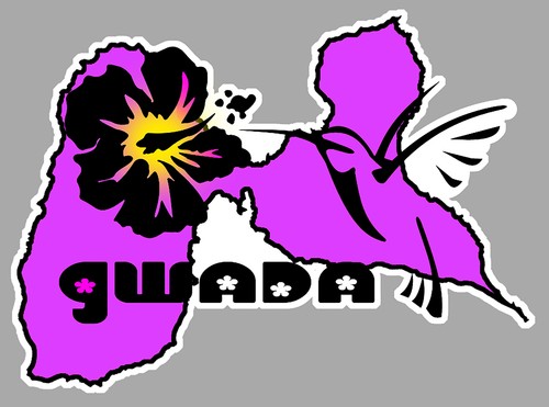 Gwada hibiscus colibri dub - colibri, vw