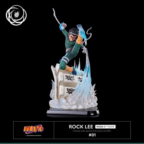 Tsume ikigai rock - rock, lee