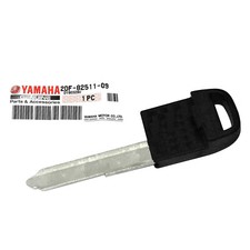 MF1581 Clé Télécommande