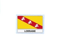 Ecusson patch badge imprime