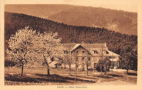 France salm hôtel - france,