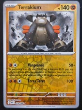 Carte Pokémon Terrakium