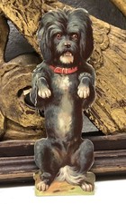 Dog in Standing Position