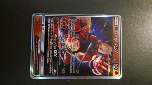 Carte pokemon groudon