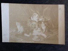 CP SALONS DE PARIS UNE BONNE MERE PAR HUBER - PETITS CHATS - 35924