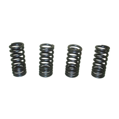 Valve springs for daytona - springs,