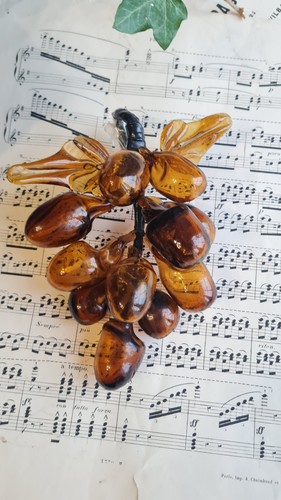 Ancienne grappe raisin en - ancienne,